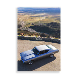 Bird's Eye View Poster